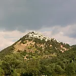 Diffuso Crispolti * Labro