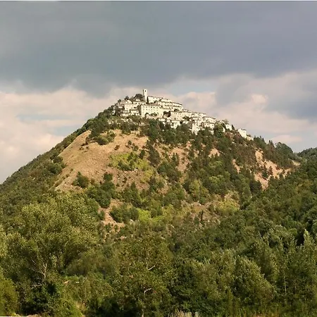 Diffuso Crispolti