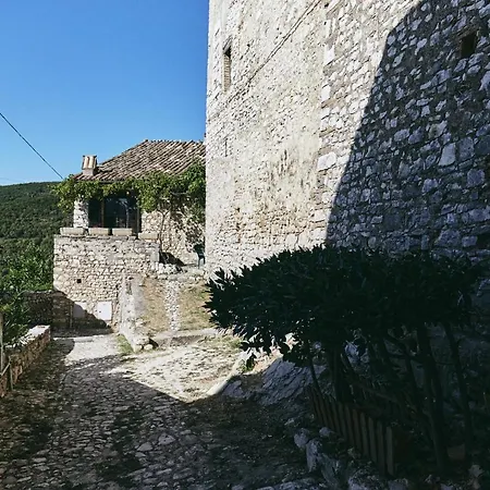 Diffuso Crispolti Labro
