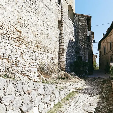 Diffuso Crispolti