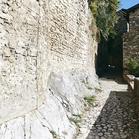 Diffuso Crispolti