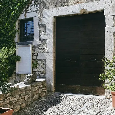 Diffuso Crispolti