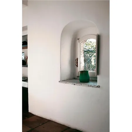 Diffuso Crispolti Labro