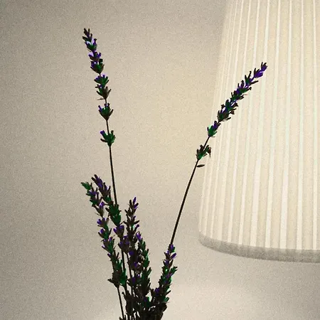 호텔 Diffuso Crispolti