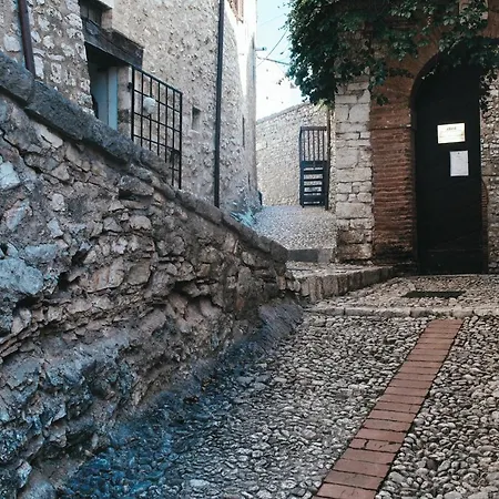 Diffuso Crispolti Labro