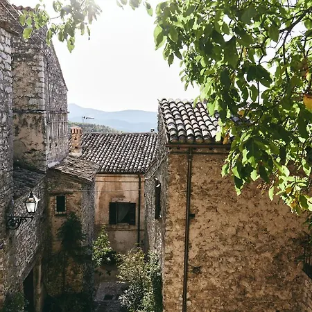 Diffuso Crispolti