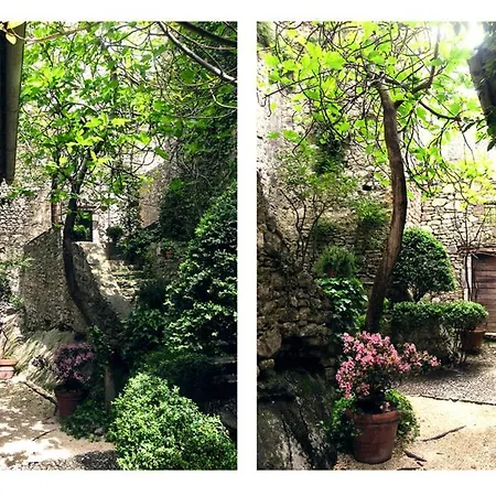 Diffuso Crispolti