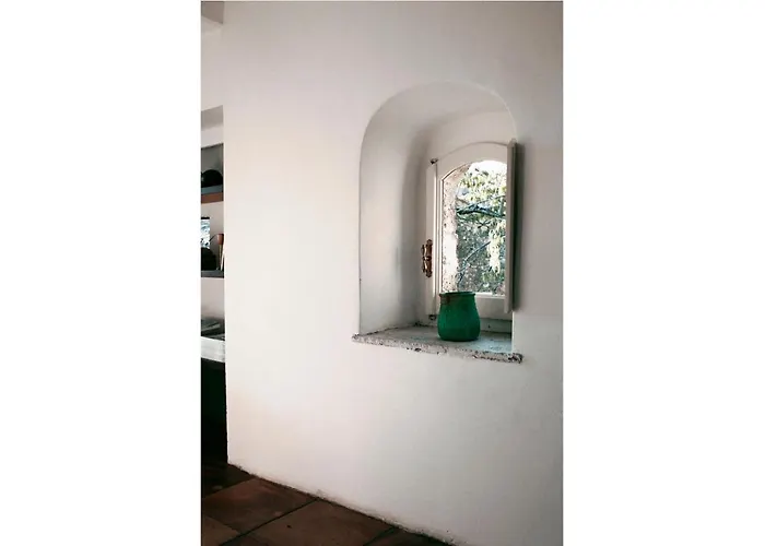 Diffuso Crispolti Labro